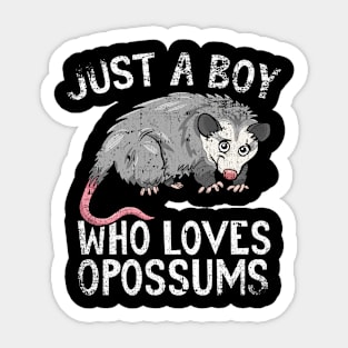 Just A Boy Who Loves Opossums Sticker